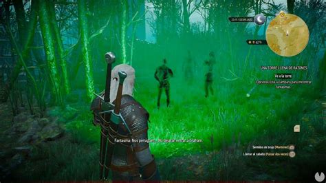 una torre llena de ratones|The Witcher 3: Wild Hunt .